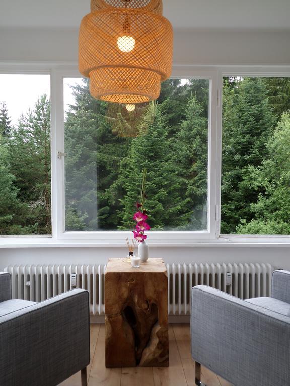 Ferienwohnung Boerner Kniebis Buitenkant foto