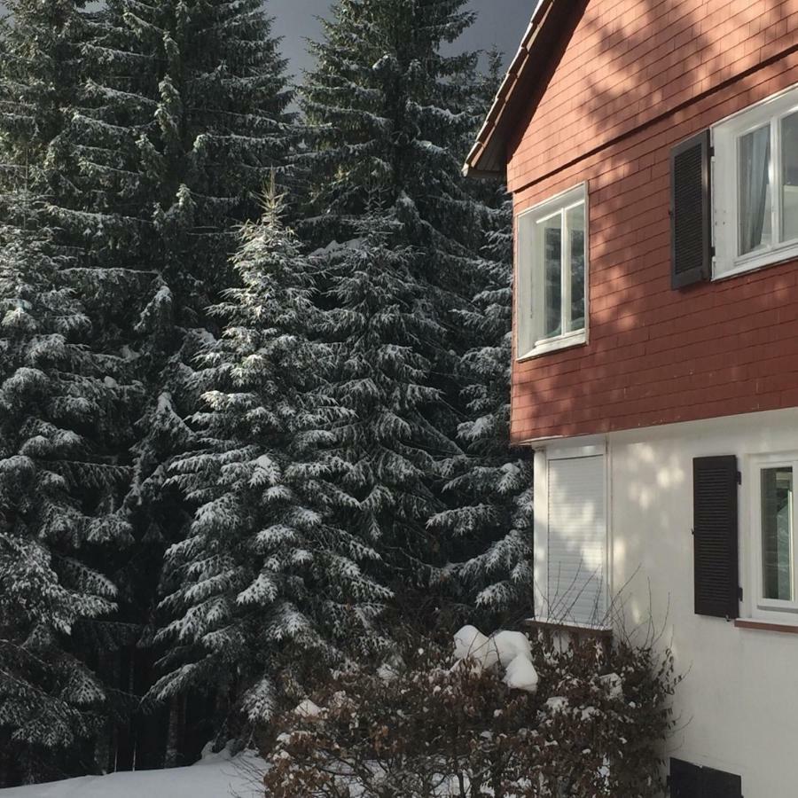 Ferienwohnung Boerner Kniebis Buitenkant foto